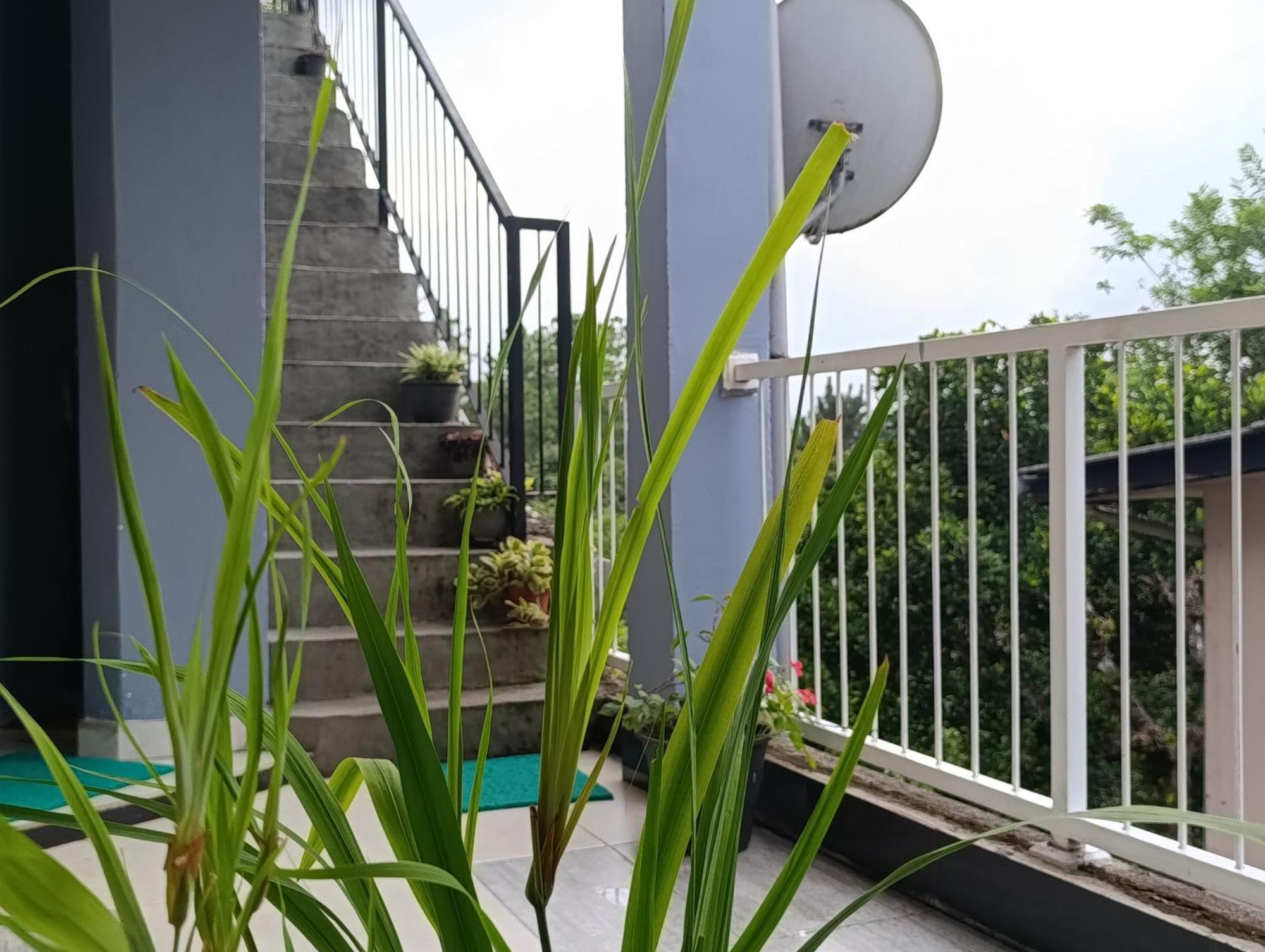 Villa Forest View - No: 50/17 Kandy Exteriör bild